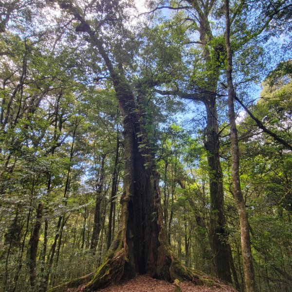 稍來山（小百岳）2543570