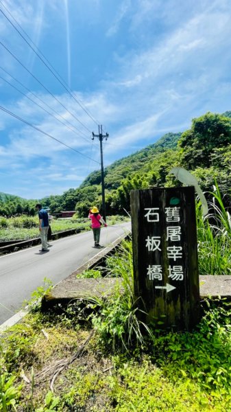 坪林大舌湖/蘇澳七星嶺2515963