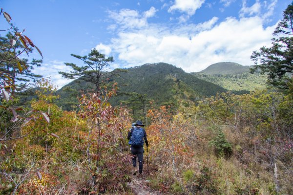 羅馬縱走-熱門中級山路線1075933