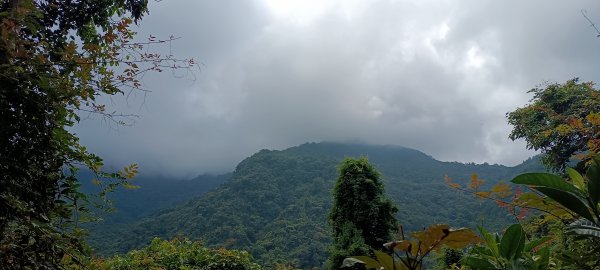 2024/10/06_小東河步道+小東河山北峰2615617