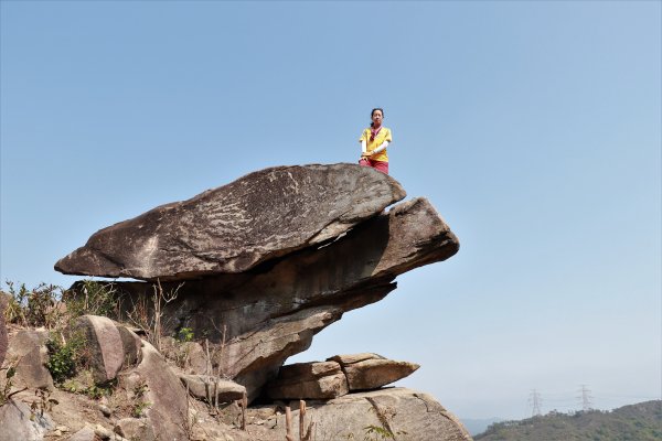 HK - 九徑山1499593