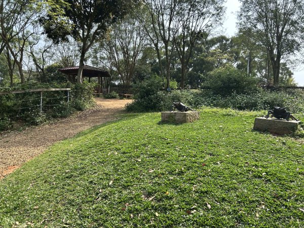 羊稠森林步道3020908