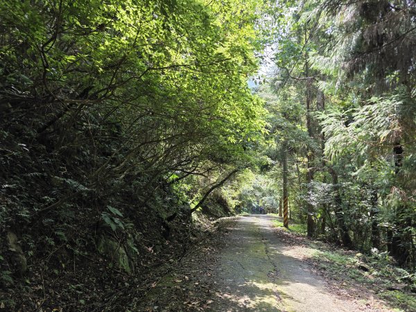 [皮皮獅探險隊-10/10] 2025_0816 白蘭溪古道2862933