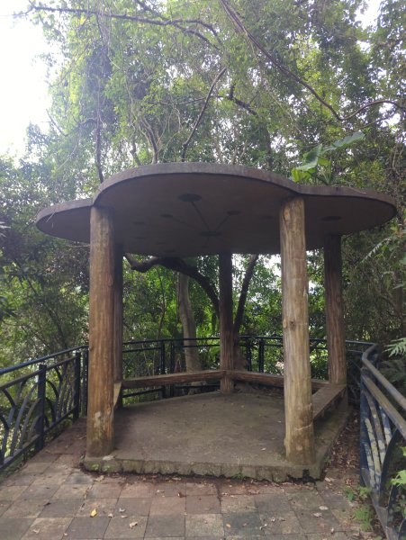 2025.12.14－微笑山線：【二格山系】和美山螢火蟲段2966260