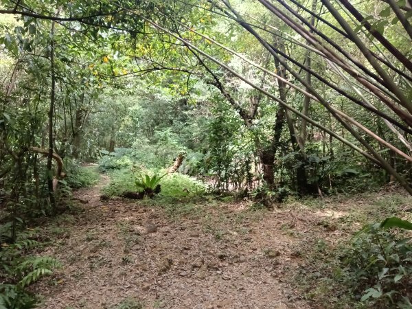 汐止區夢湖保線路+單車夢湖路O型2894083