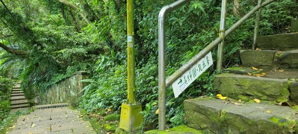 2020-0921虎山溪九五峰1108489