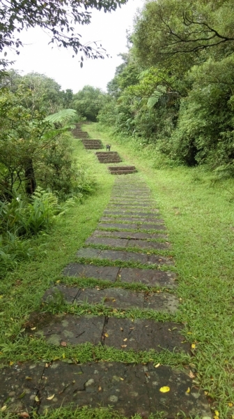 桃源谷歩道(大溪線) 105.09.2564010