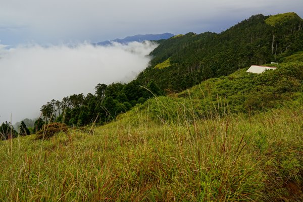 2018-08-03雪山主北431188