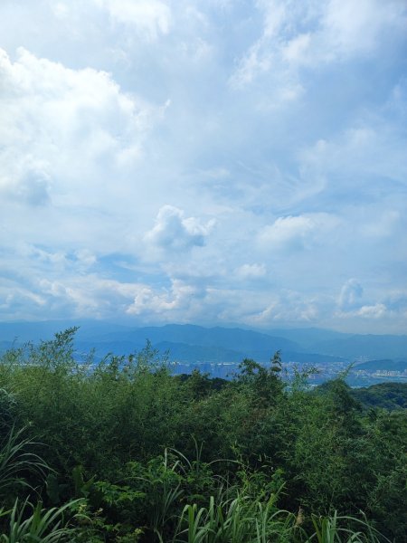 夏日甲蟲祭典（羊稠森林步道，龜山福源山-山佳車站）2826614