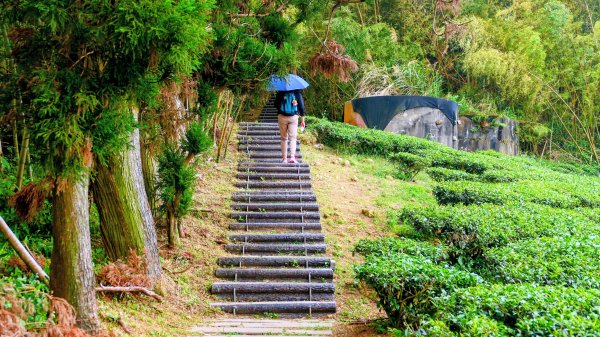 雲嘉五連峰2948648