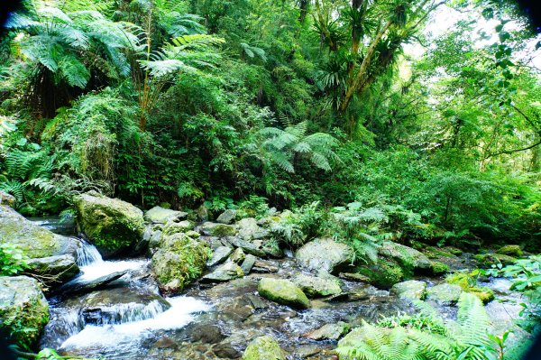 新北 烏來 波露南山3036007