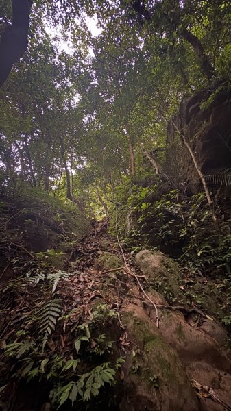雙石縱走 O還2️⃣3050650