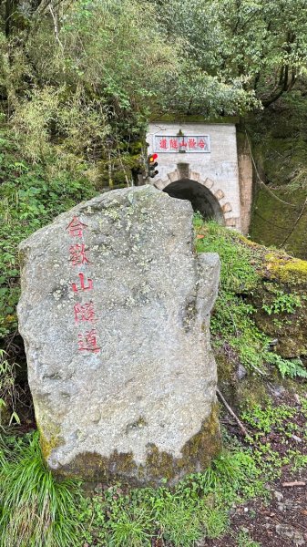 20260501-03畢羊縱走3052758