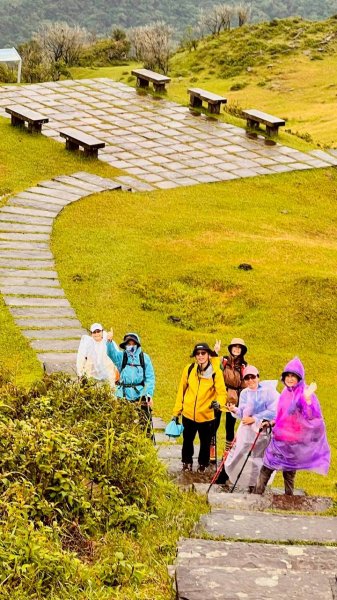 🌈11/2草嶺古道~桃源谷~灣坑頭山~大里天公廟✨FB：熊熊趴爬走🌈2928855