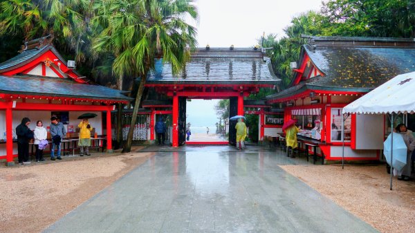 宮崎青島,母智丘,桷志田,櫻島,渡輪3027892