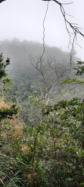 《苗栗》霧雨寒流｜三義三角山步道202512252969254