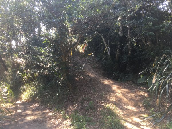 20210116-關刀山1238209