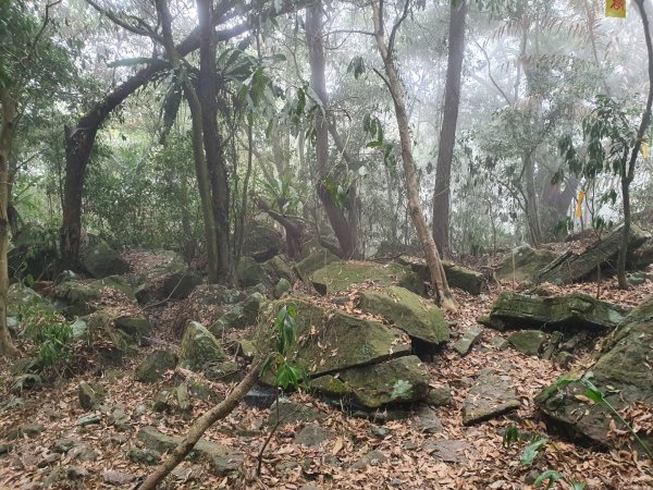 白雲山步道（小百岳）1334327