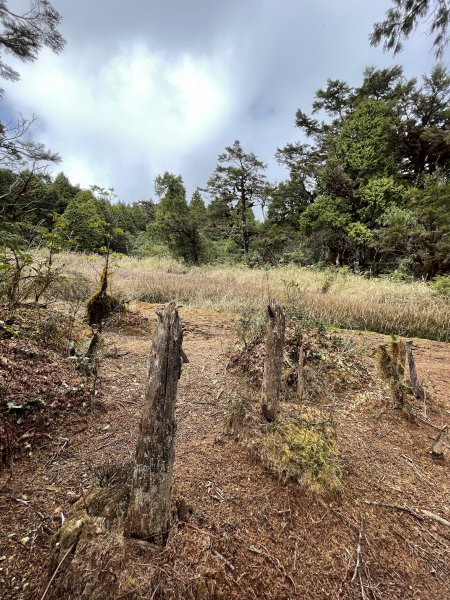 魔幻森林三星山與三星池1658319