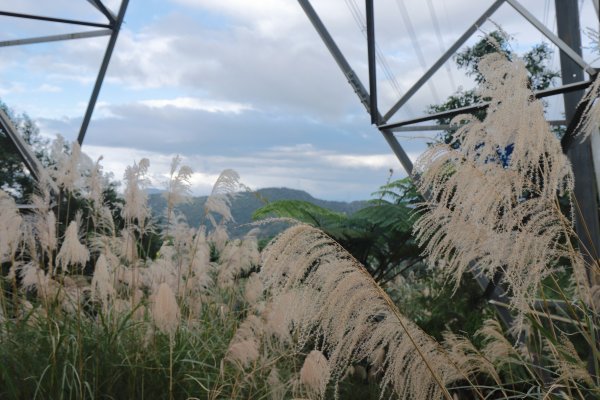 篳路藍縷之直潭山系縱走1233181