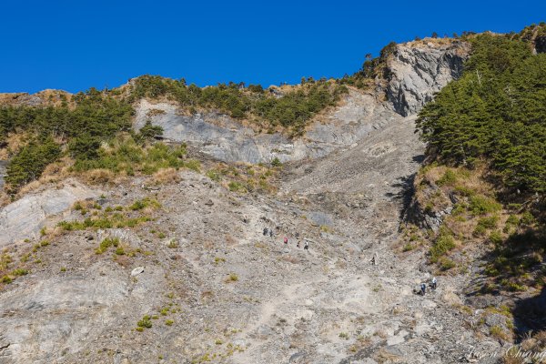 [百岳]南橫三星與關山2025753