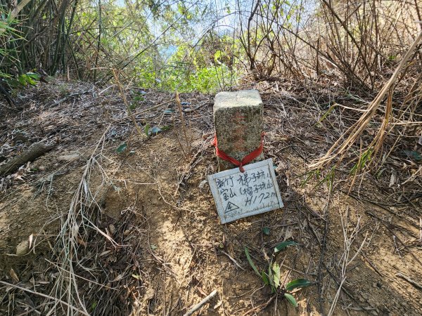 20250114石井山、榴子坑山、後脊山、龍頂山2728601