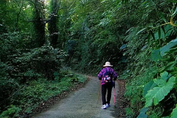 [88阿嬤遠足]新竹冷門郊山...水頭排山