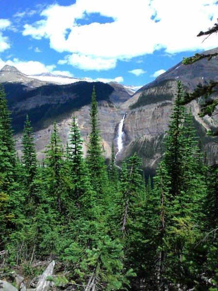 Iceline Trail (YOHO 加拿大幽鶴國家公園)2634587