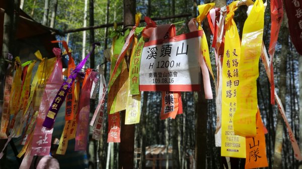 《南投》竹林台灣杉｜溪頭山竹崙山志騰山O繞202302182035829