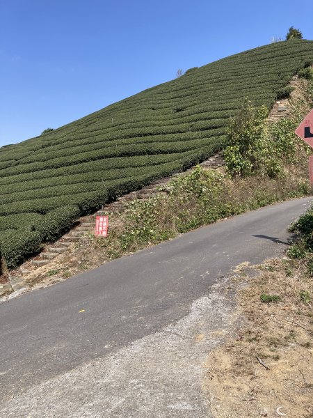 20260217月眉山+海鼠山+奮瑞古道3001656