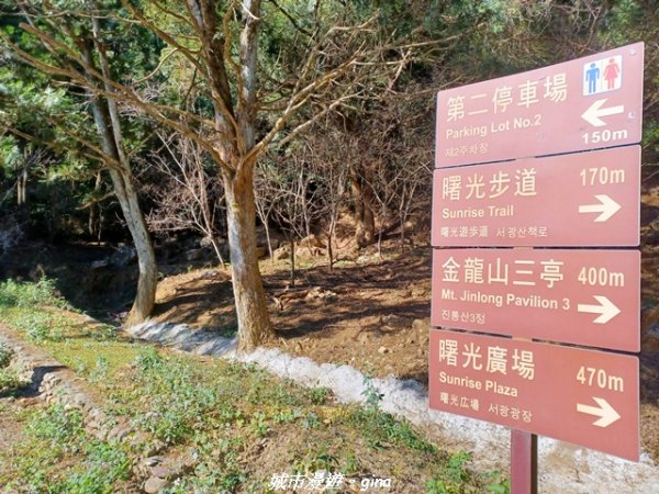 【南投魚池】郊山好視野。 金龍山(槌仔寮山)步道2976295