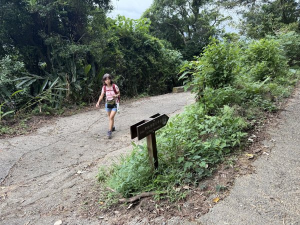 劍潭山+老地方202507192863872