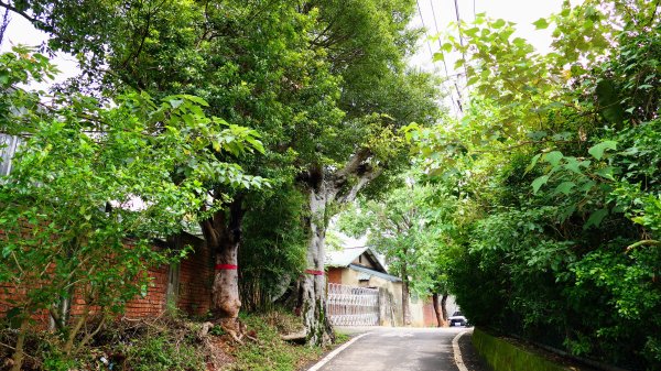 茶山步道,鎮南橋,鴉片菸潭,通學古道2602613
