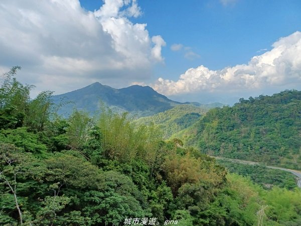 【高雄甲仙】沒有朵朵白雲。 小百岳集起來。 編號69小百岳-白雲山步道1713218