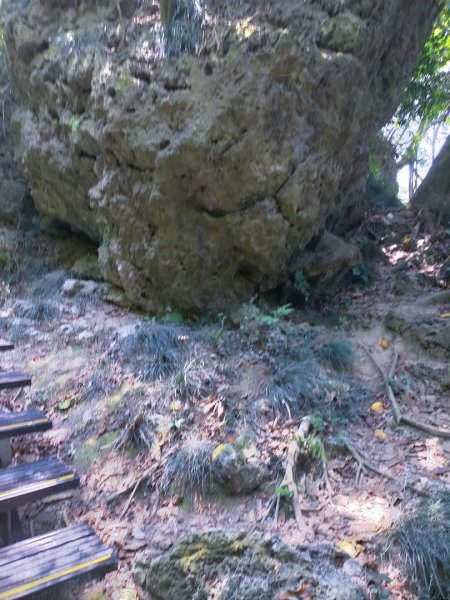 北柴山秘境之旅2754373