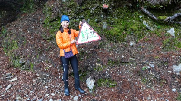 雙龍林道上巒安堂西巒大山1778662