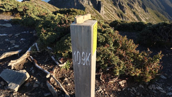 雪山主東峰登山健行趣(百岳02號＆74號)1882734