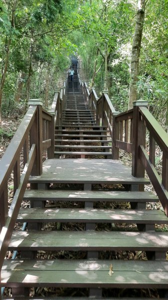 《台中》貓仔坑｜后里鳳凰山觀音山步道O繞202305282164547