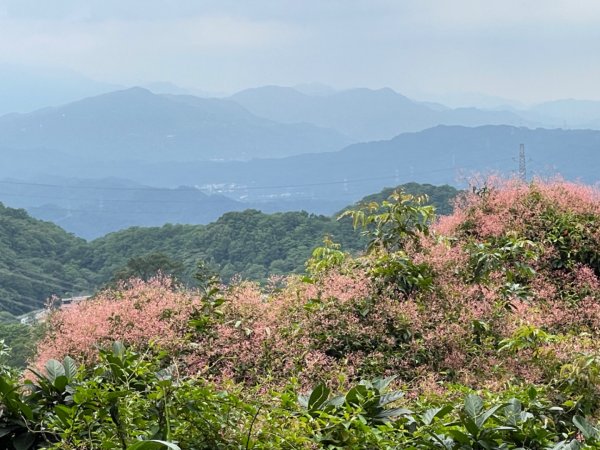 1140601石門山2803242