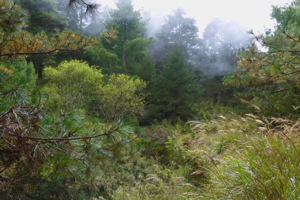 110.10.30~31閂山、鈴鳴山1500979