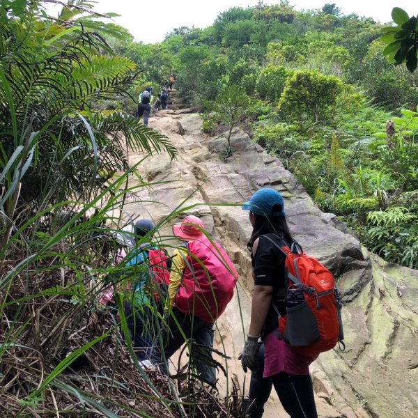 【北台灣郊山之王「瑞芳劍龍稜」 攀爬峭壁岩稜翻山越嶺驚險行】1337549