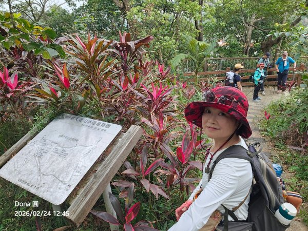 圓通寺烘爐地登山步道大O走3007058