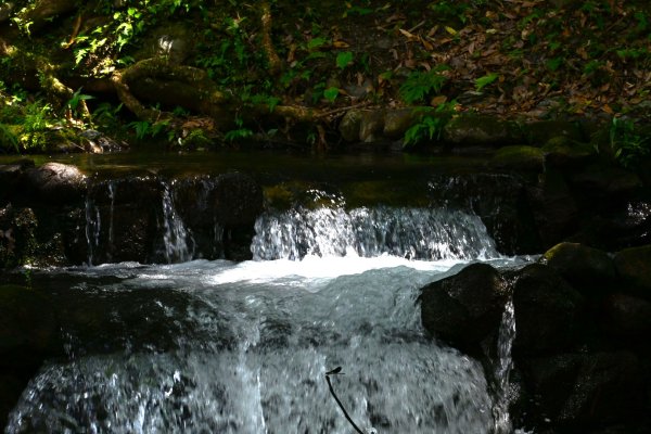 2025_0628 大羅蘭溪古圳步道(福山馬岸)2825216