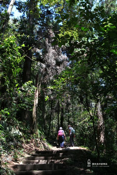 八仙山國家森林遊樂區1066369