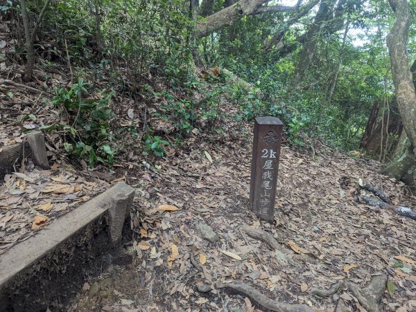 谷關七雄：屋我尾山（大雪山林道來回）1773197