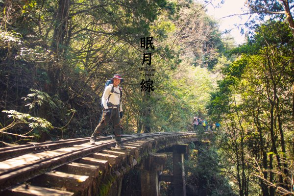 阿里山 眠月線1661130