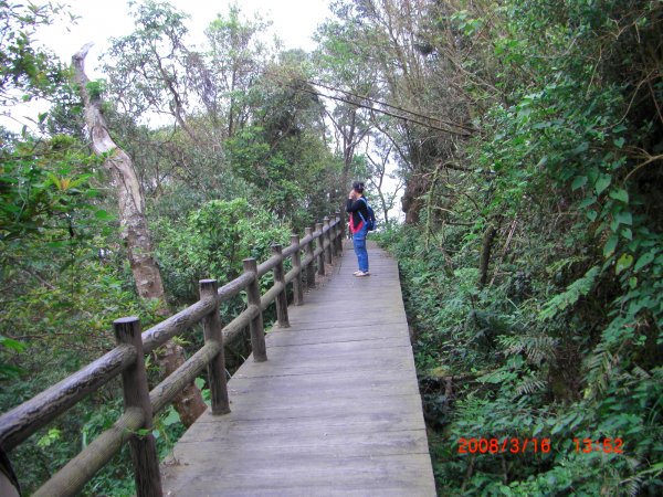 橫山_山背山騎龍古道200802281961359