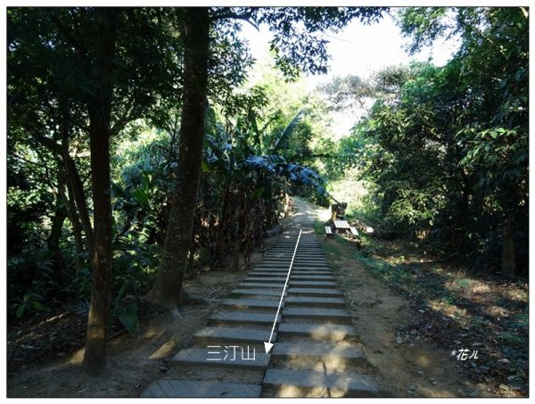 老鼠崎登山步道、觀雲嶺、三汀山1963990