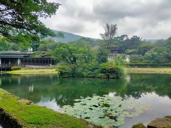 2023/6/18［陽明山輕鬆走］（冷水坑~橫嶺古道~天母古道）2204213