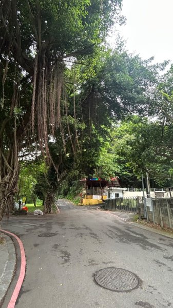 士林劍潭山軍事地景漫走3048876